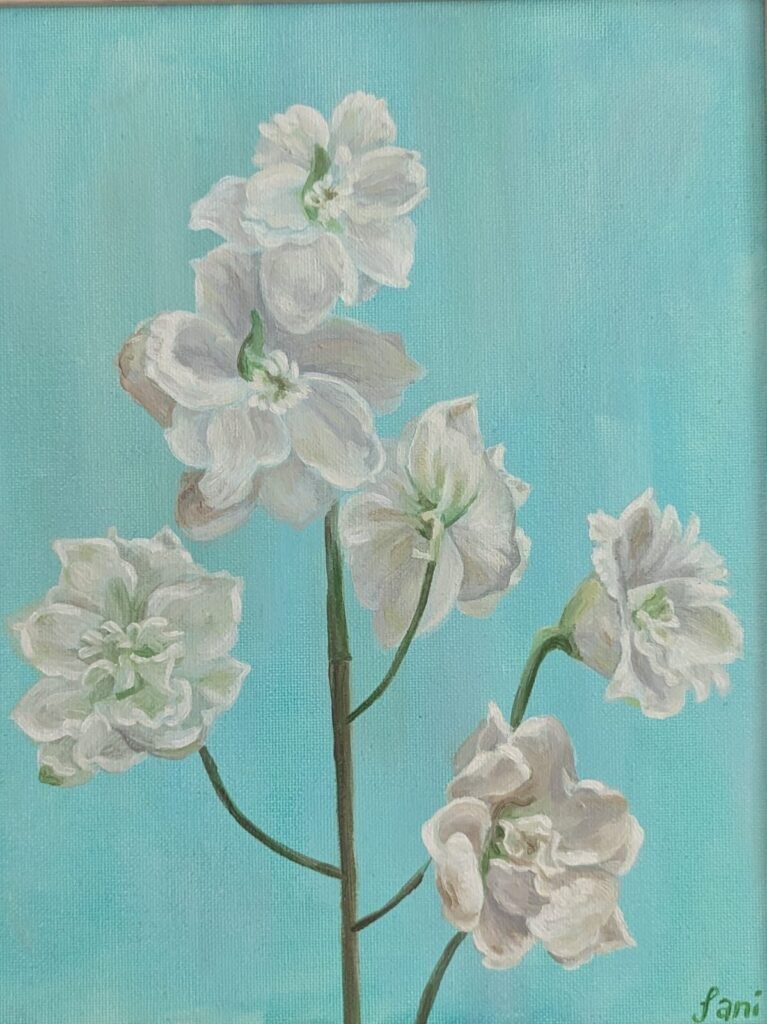 Home whatsapp image 2026 01 05 at 14.54.59